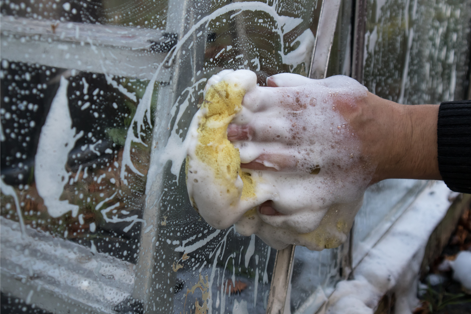 Person cleaning a greenhouse surface with a scrub brush and soap to remove dirt and algae, preparing for the growing season.