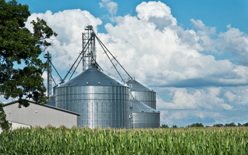 Tips for Preventing Mold in Grain Bins