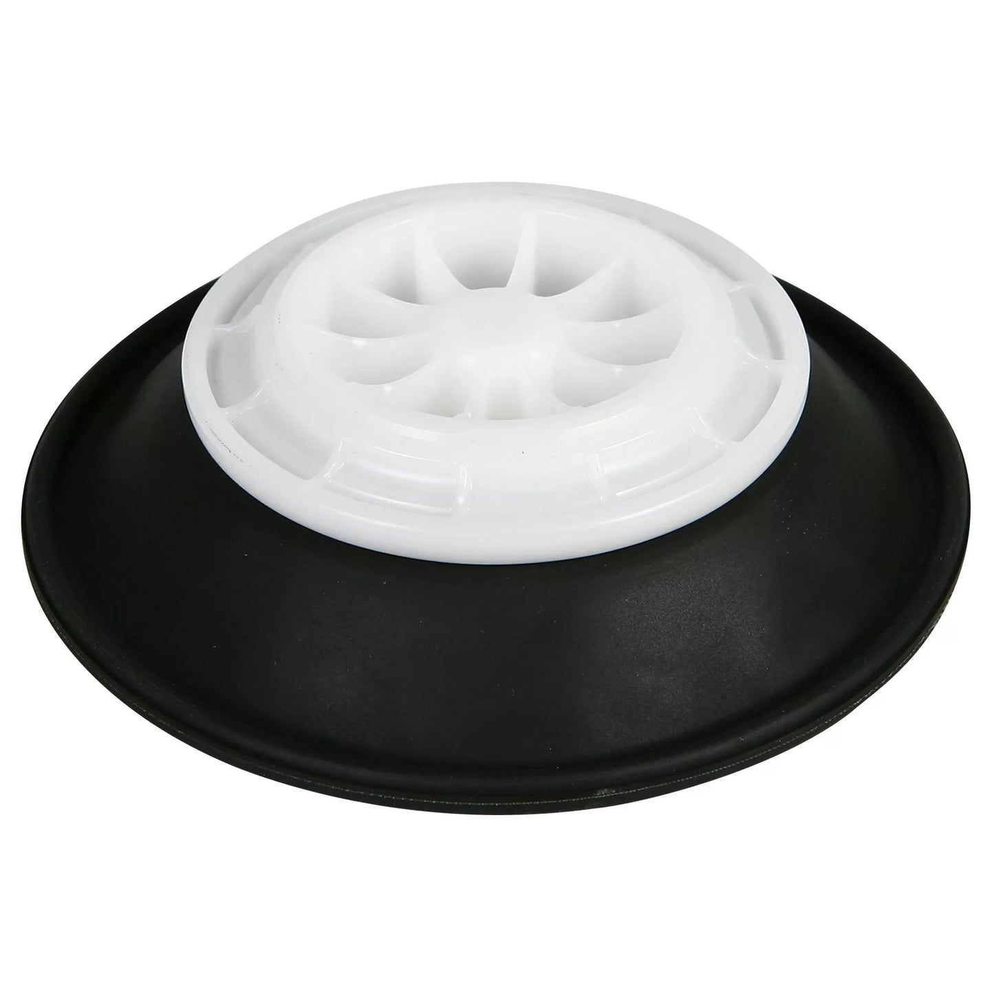 Dosatron® DM11F/DM11RE3 Diaphragm Assembly