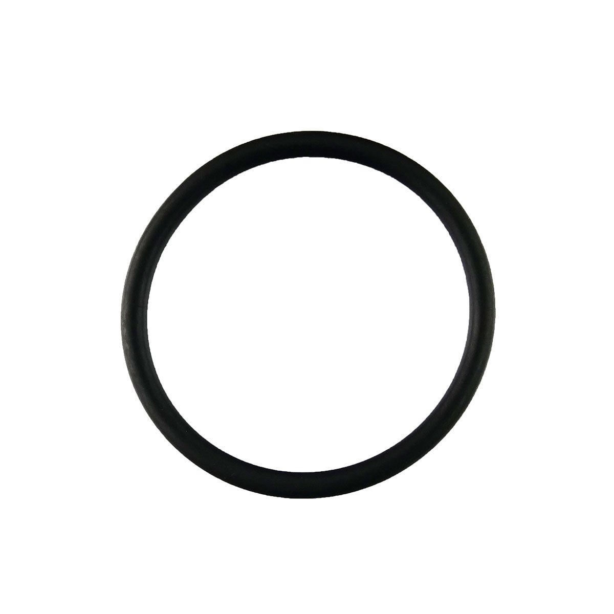 Dosatron Isolation O-Ring (8J040)