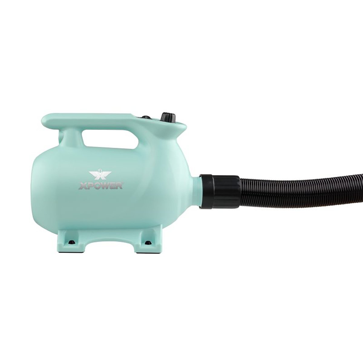 XPOWER B-123 High Velocity Pet Dryer, Mint Green