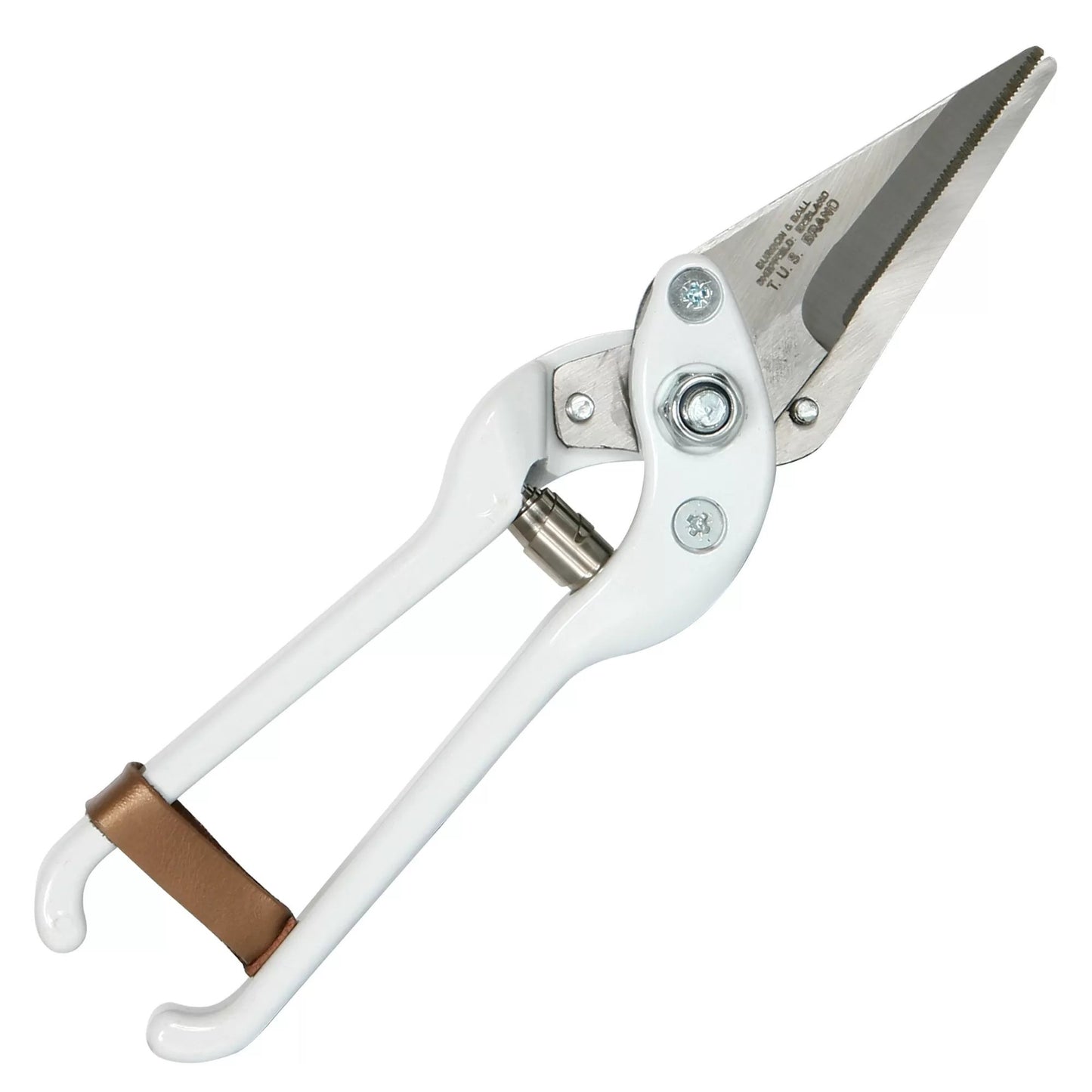 Professional Foot Rot Shear - Serrated