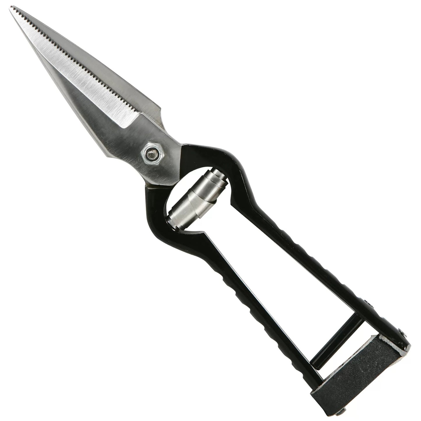 Hoof Rot Shears - Serrated