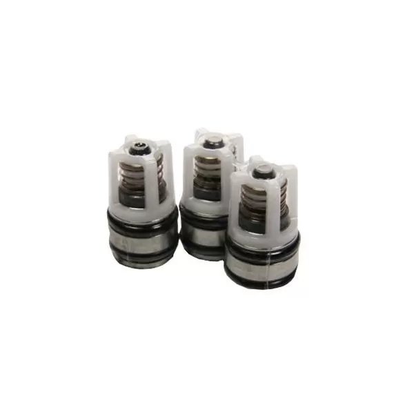 Karcher Check Valve Set