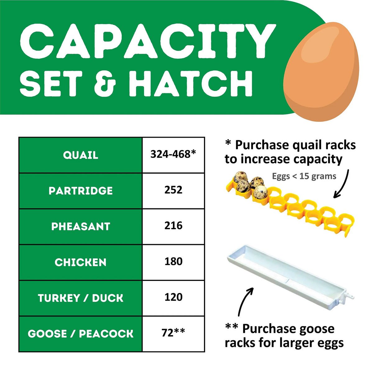 Hatchingtime Egg Incubator - 180 Eggs