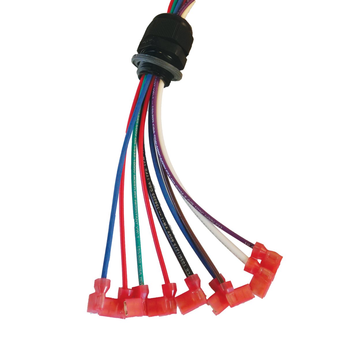 LB ® Wiring Harness