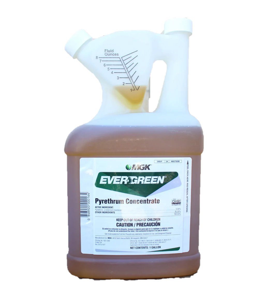 MGK® EverGreen® Pyrethrum Concentrate - 16 oz