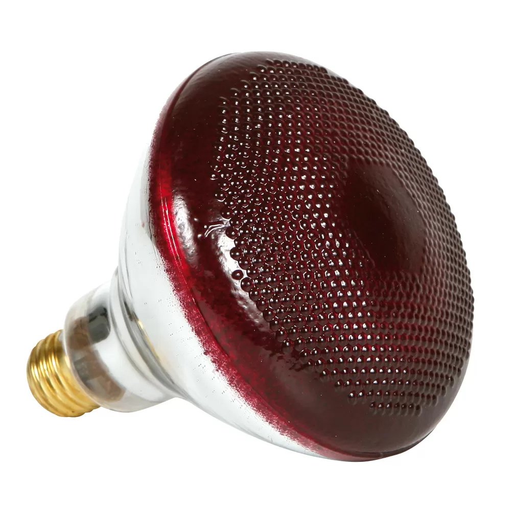 Infrared Heavy-Duty Hard Glass Heat Bulbs - 175 Watt - Red Glass