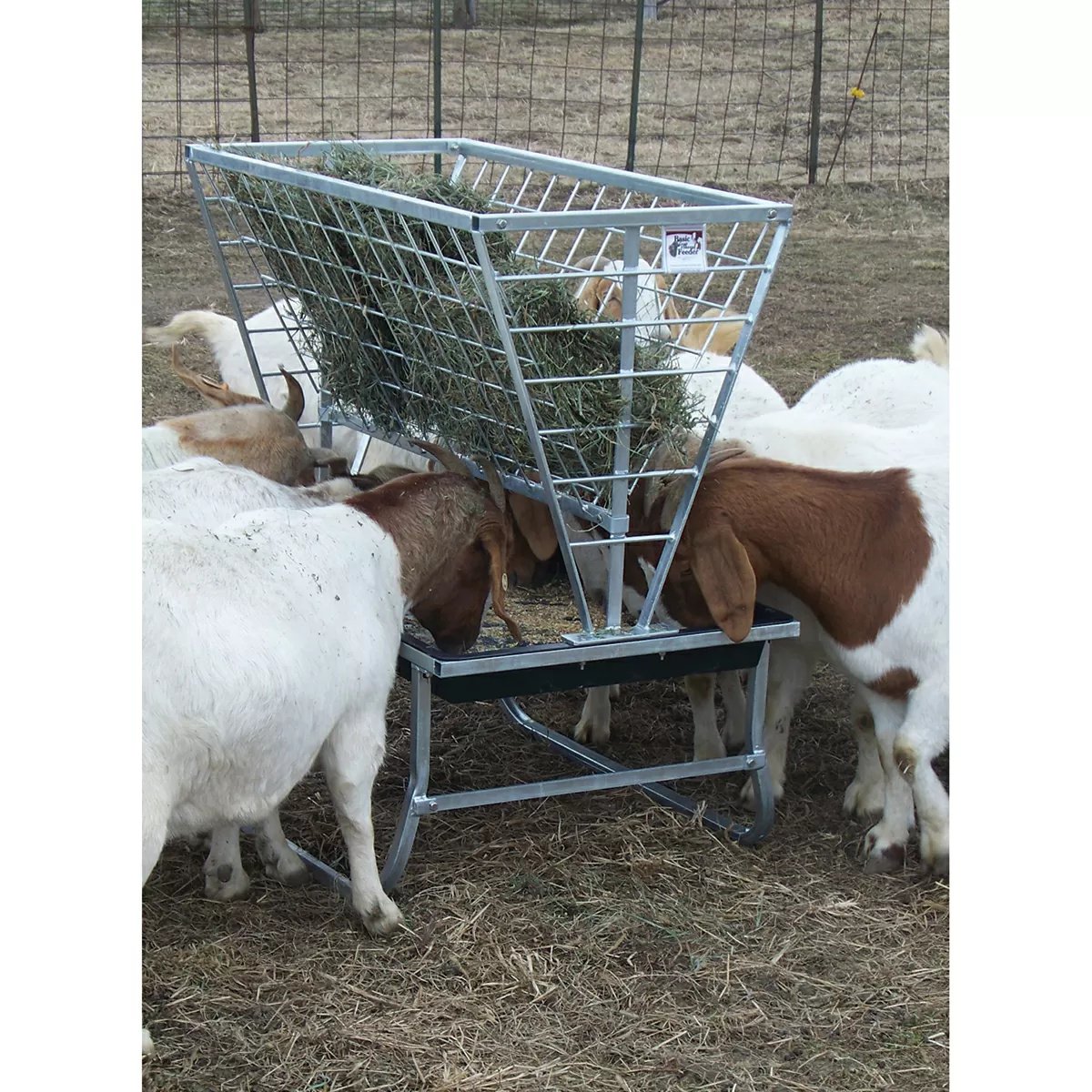 Little Giant® Basic Goat & Sheep Feeder