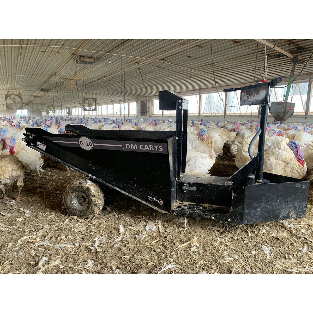 DM Carts G-10 Conveyor Cart