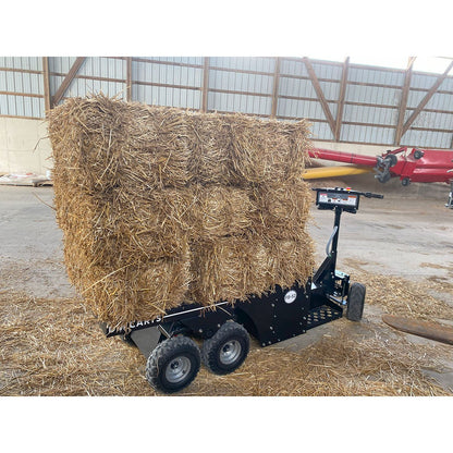 DM Carts F-5 Flatbed Cart