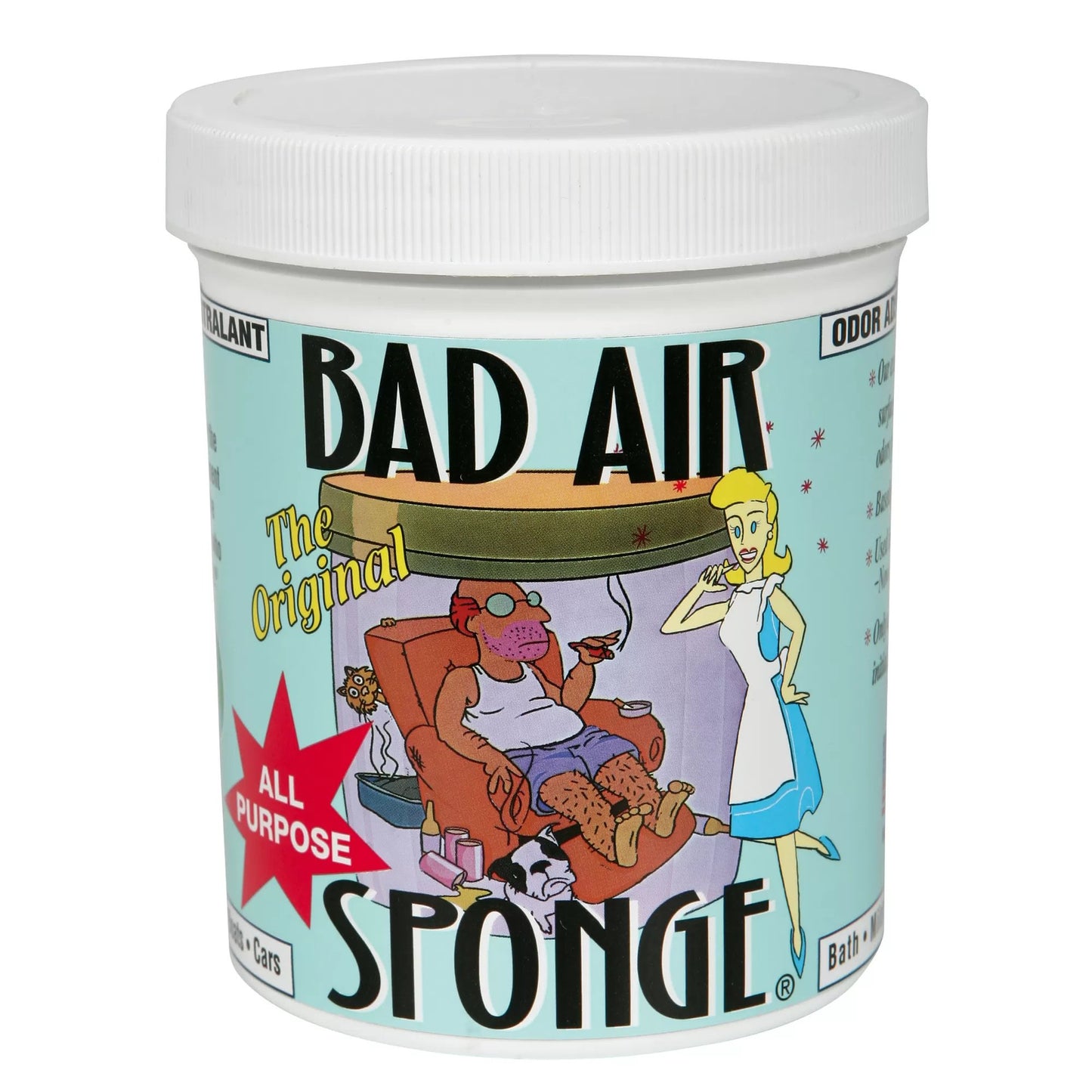 The Bad Air Sponge®