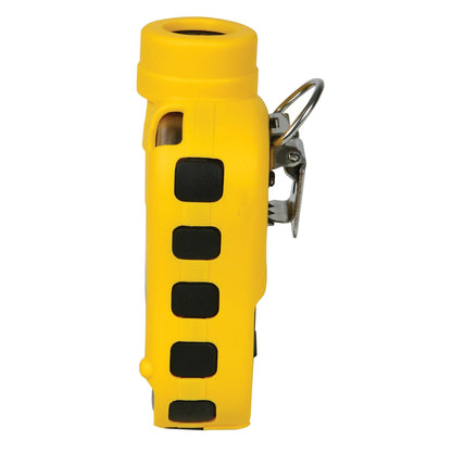 ToxiRAE Pro Hydrogen Sulfide H2S Detector