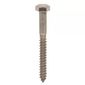 Stainless Steel Lag Screws  1/4"