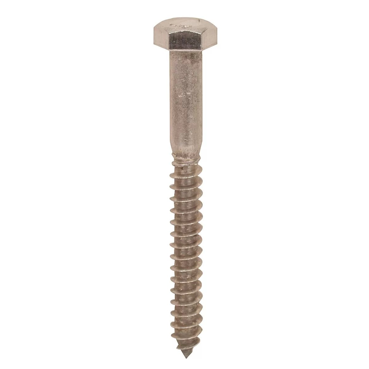 Stainless Steel Lag Screws  3/8"