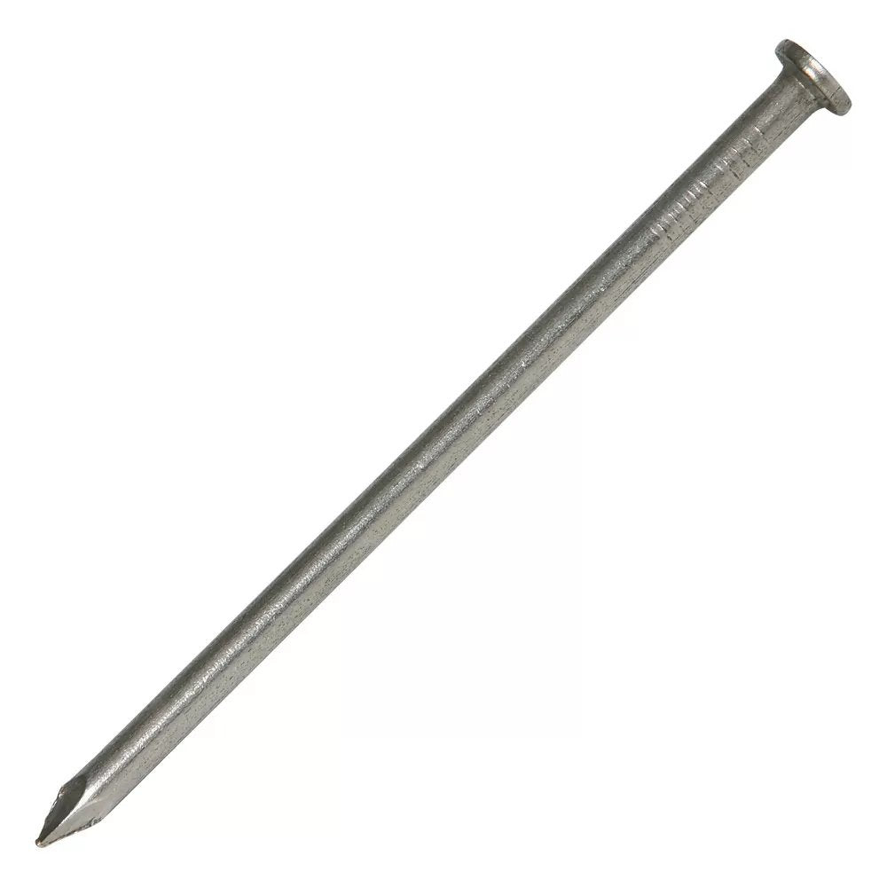 Common Nail  #16D Stainless Steel