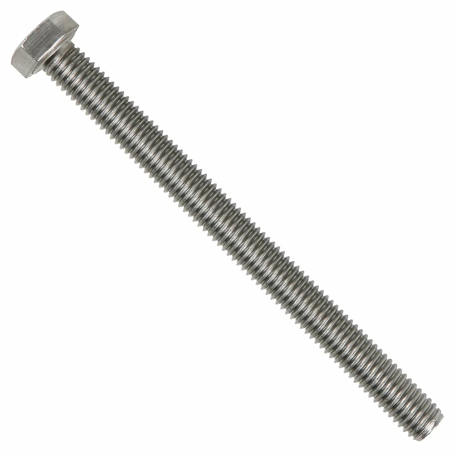 1/2" x 6" All Thread SS Bolt