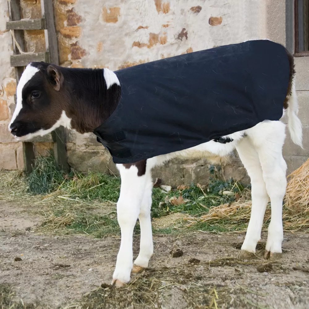 Insulated Calf Coat - Small Breed