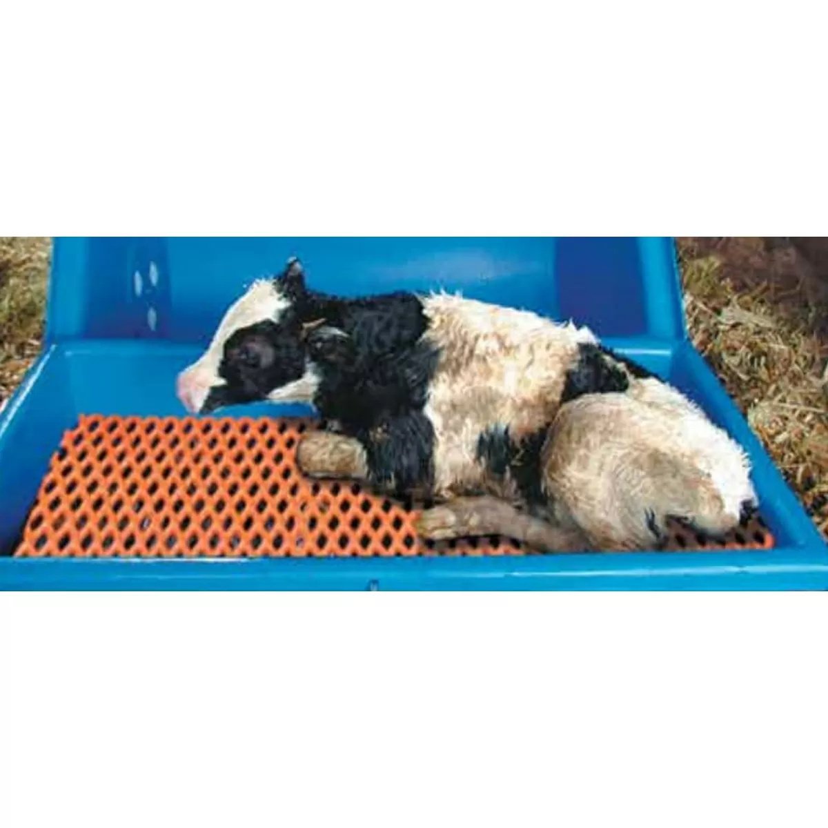 PolyDome Calf Warmer - 110V