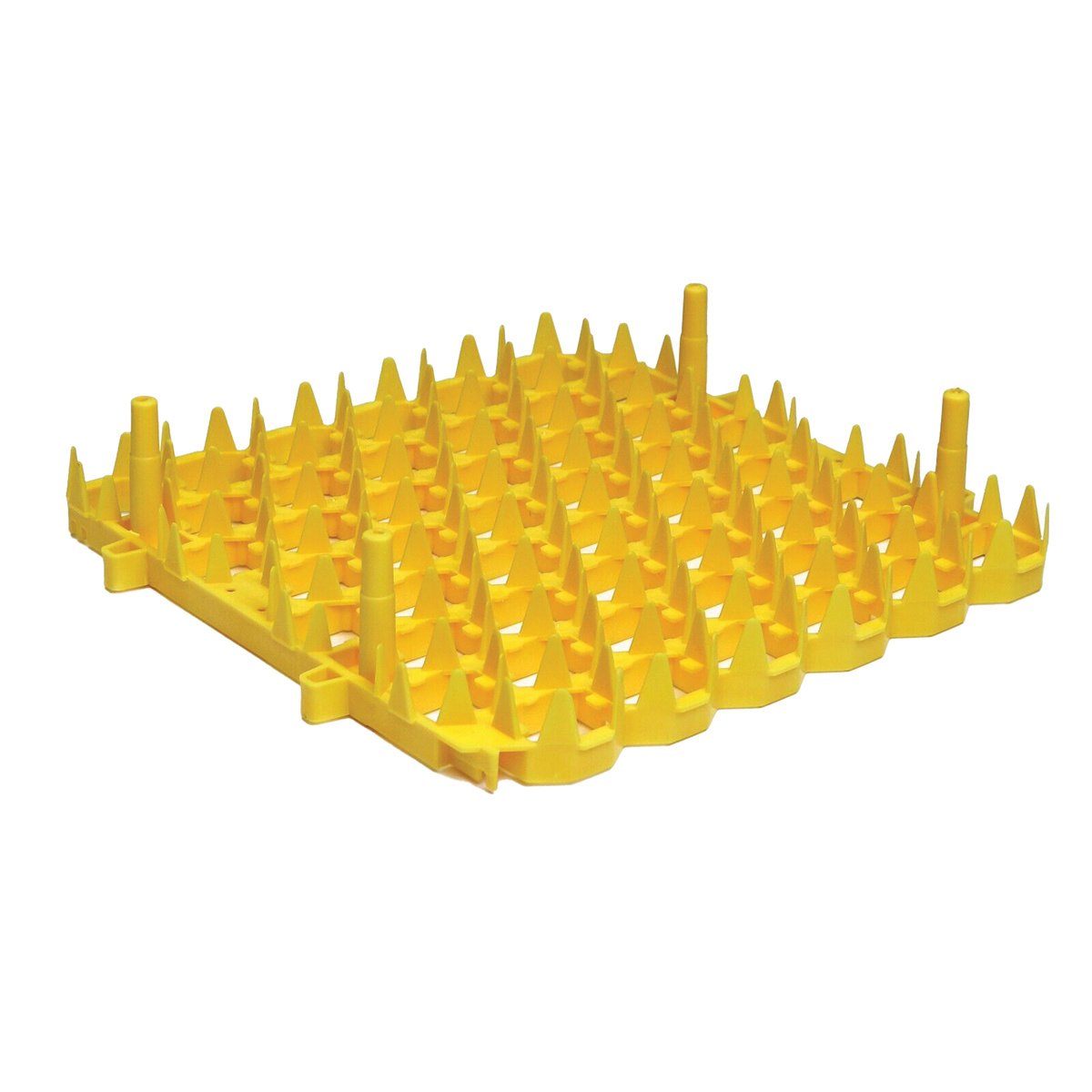 Plastic Universal Egg Racks - 6/Set