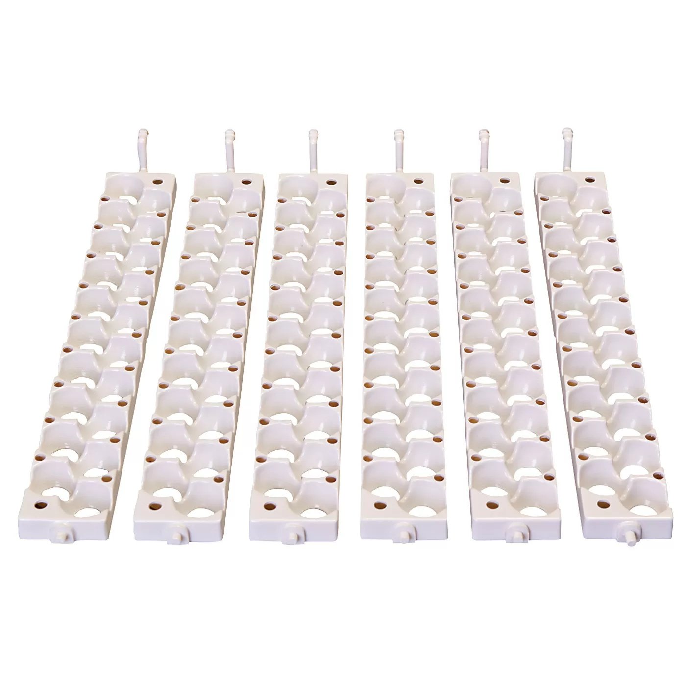 Little Giant® Small Egg Rails