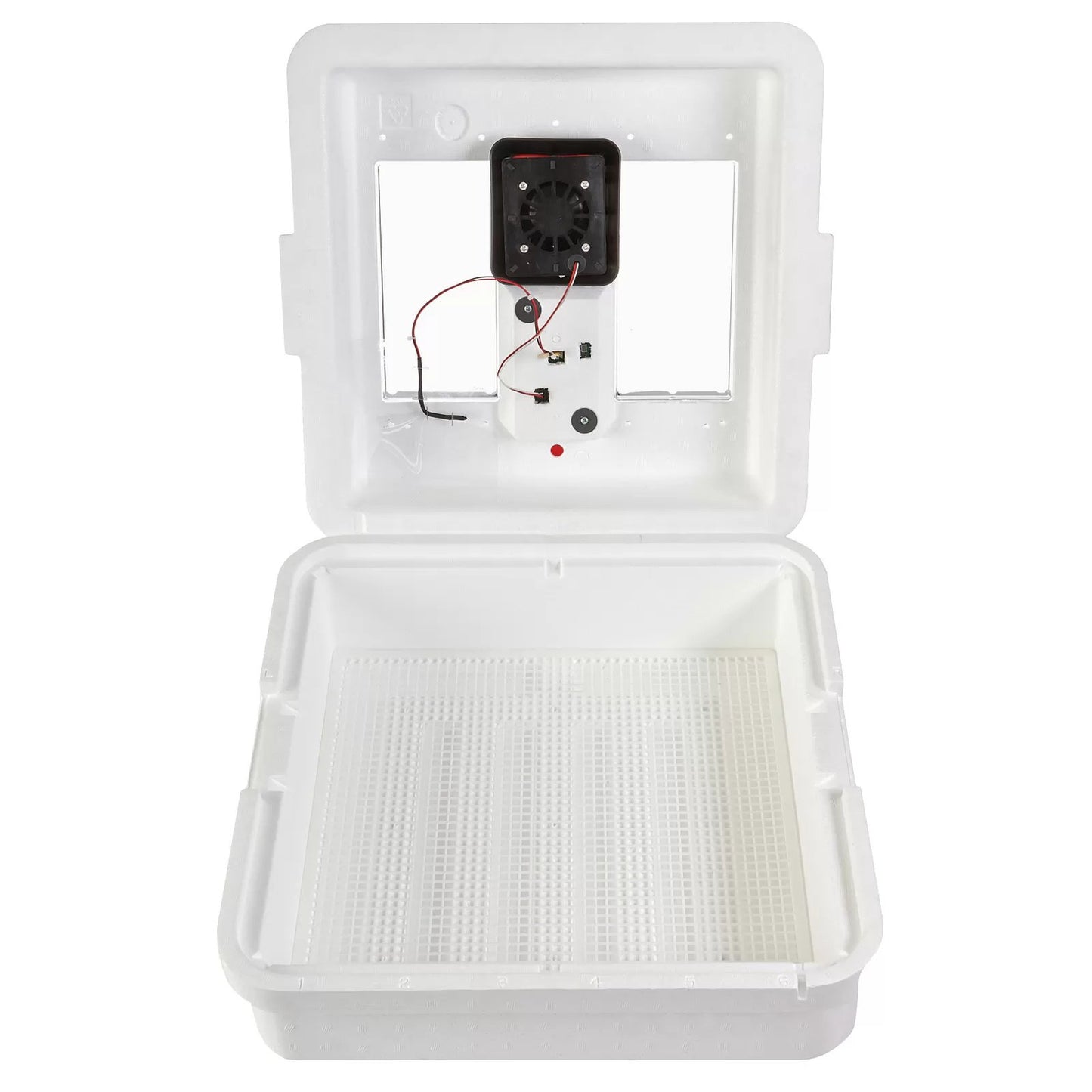 Little Giant® Digital Still Air Incubator