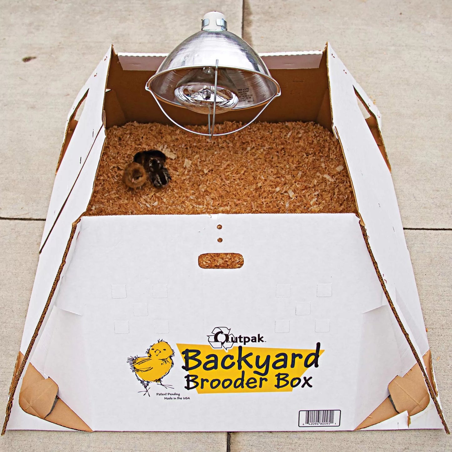 Outpak® Backyard Brooder Box - Holds 24 Chicks