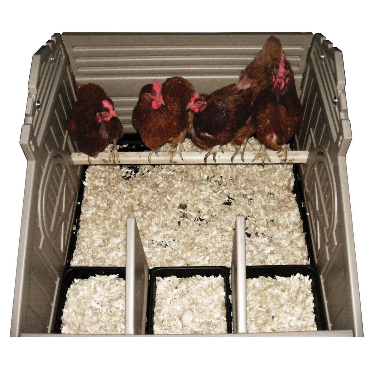 Hatchingtime Standard Chicken Coop - 4 Birds