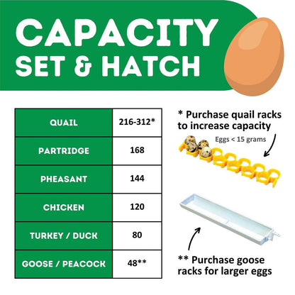 Hatchingtime Egg Incubator - 120 Eggs