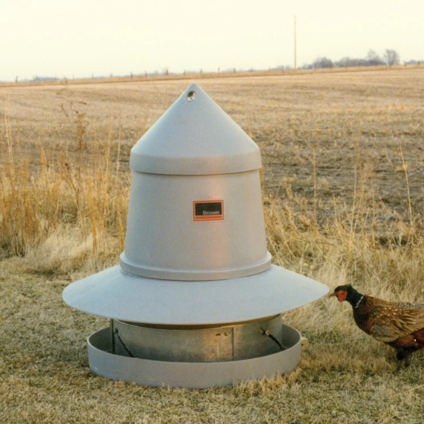 Brower® Game Bird Feeder - 125 Pheasants - 2/Pack