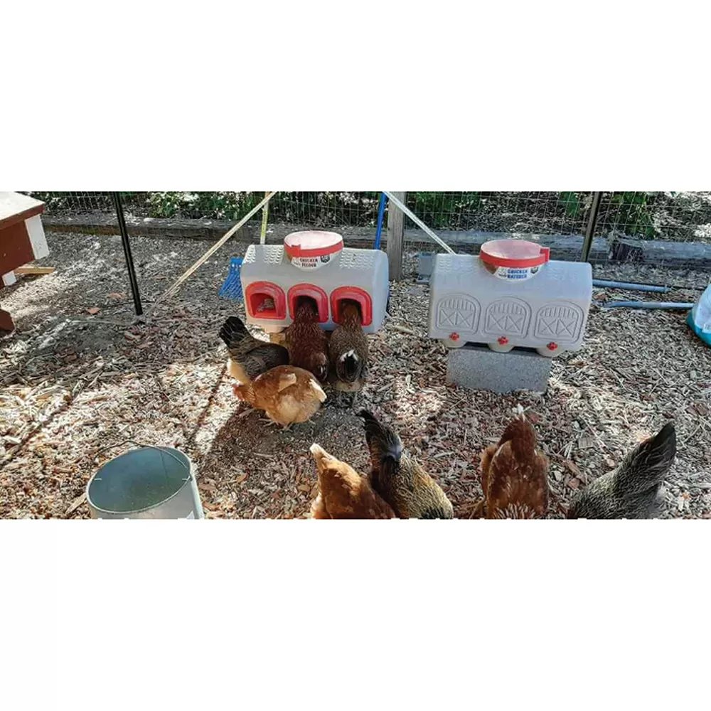 OverEZ Chicken Coop Chicken Waterer