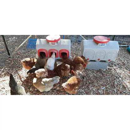 OverEZ Chicken Coop Chicken Feeder