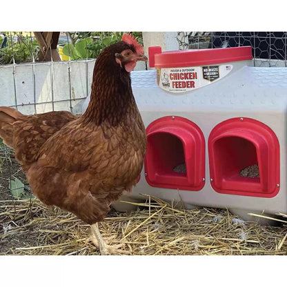 OverEZ Chicken Coop Chicken Feeder