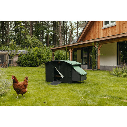 Nestra Large Ground Chicken Coop