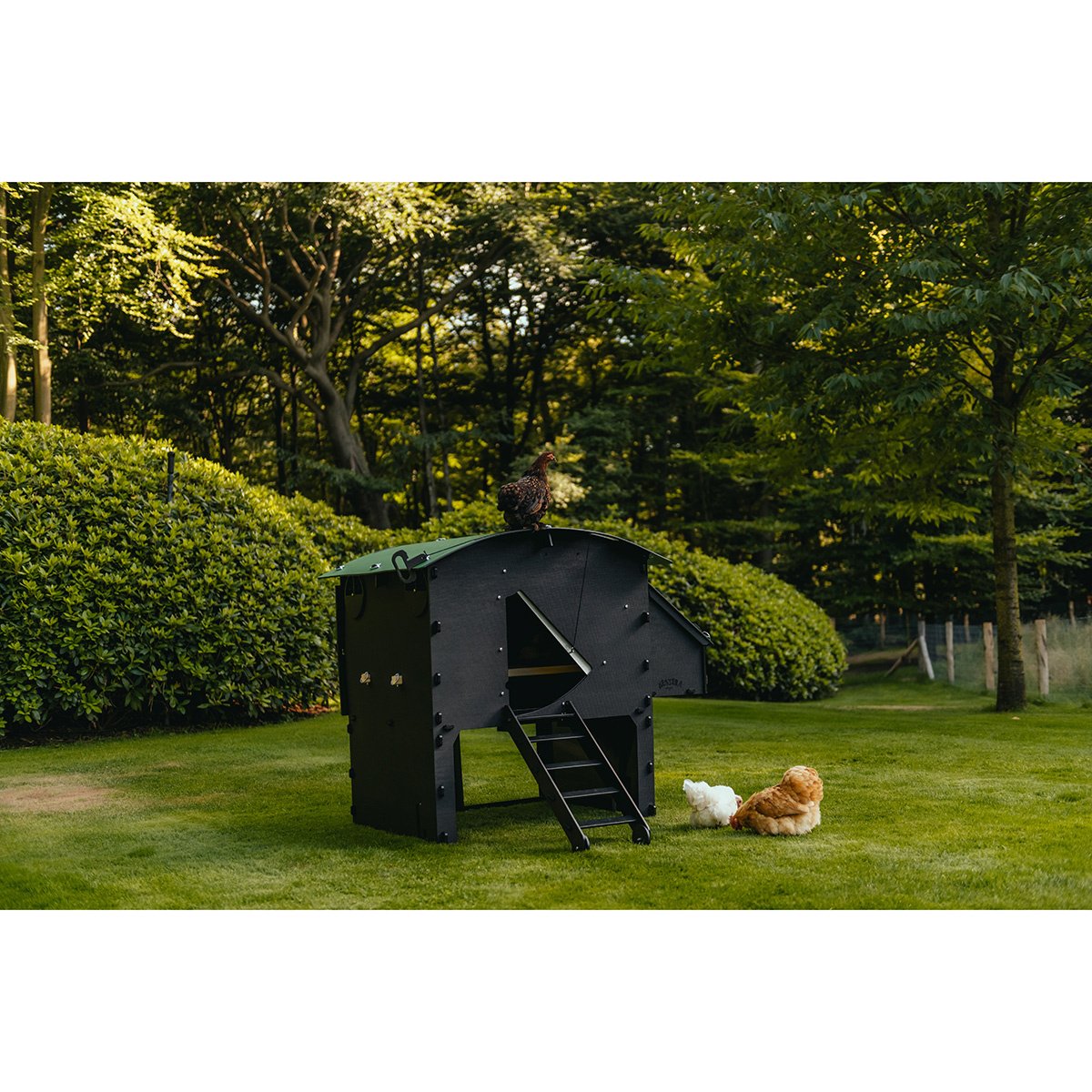 Nestra Large Raised Chicken Coop