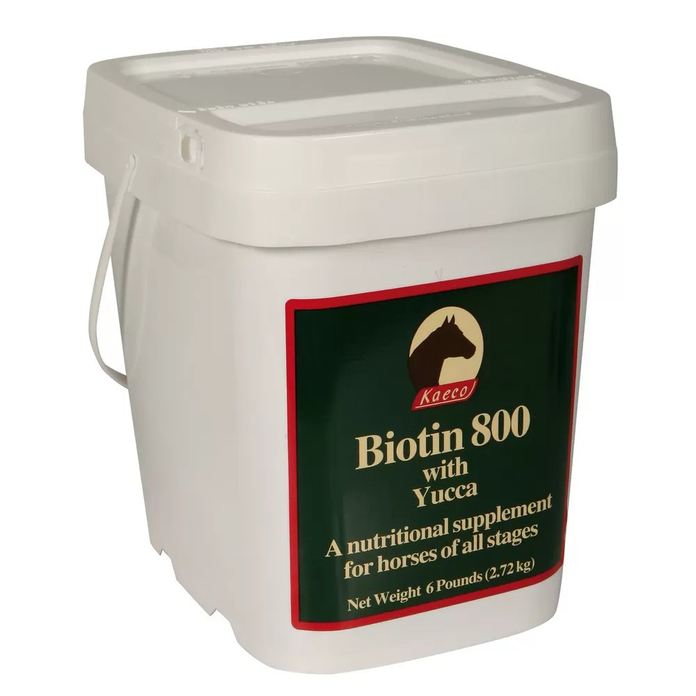 Biotin 800® Powder