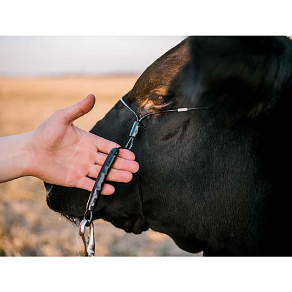 Sullivan's Phantom Cattle Cable Halter w/Ghost Grip