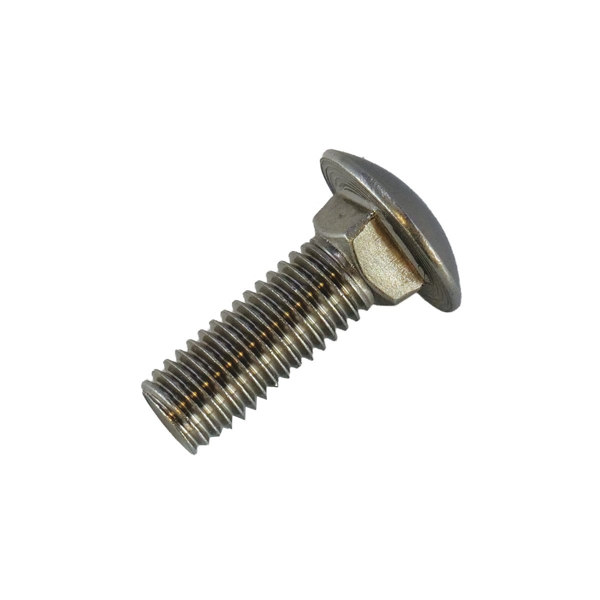 Stainless Steel Carriage Bolt - 1/2" x 1 1/2"