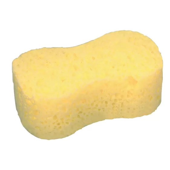 All-Purpose Sponge