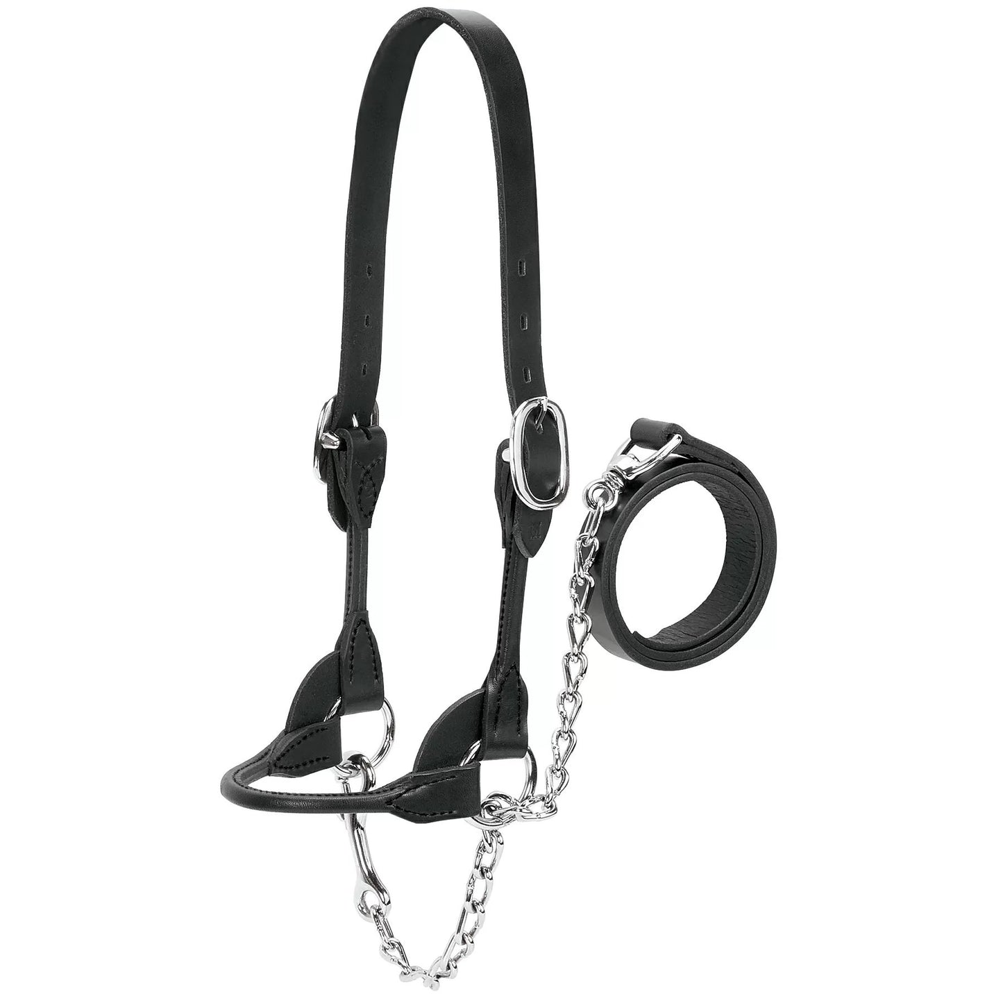 Weaver Leather® Dairy/Beef Rounded Show Halter - Black