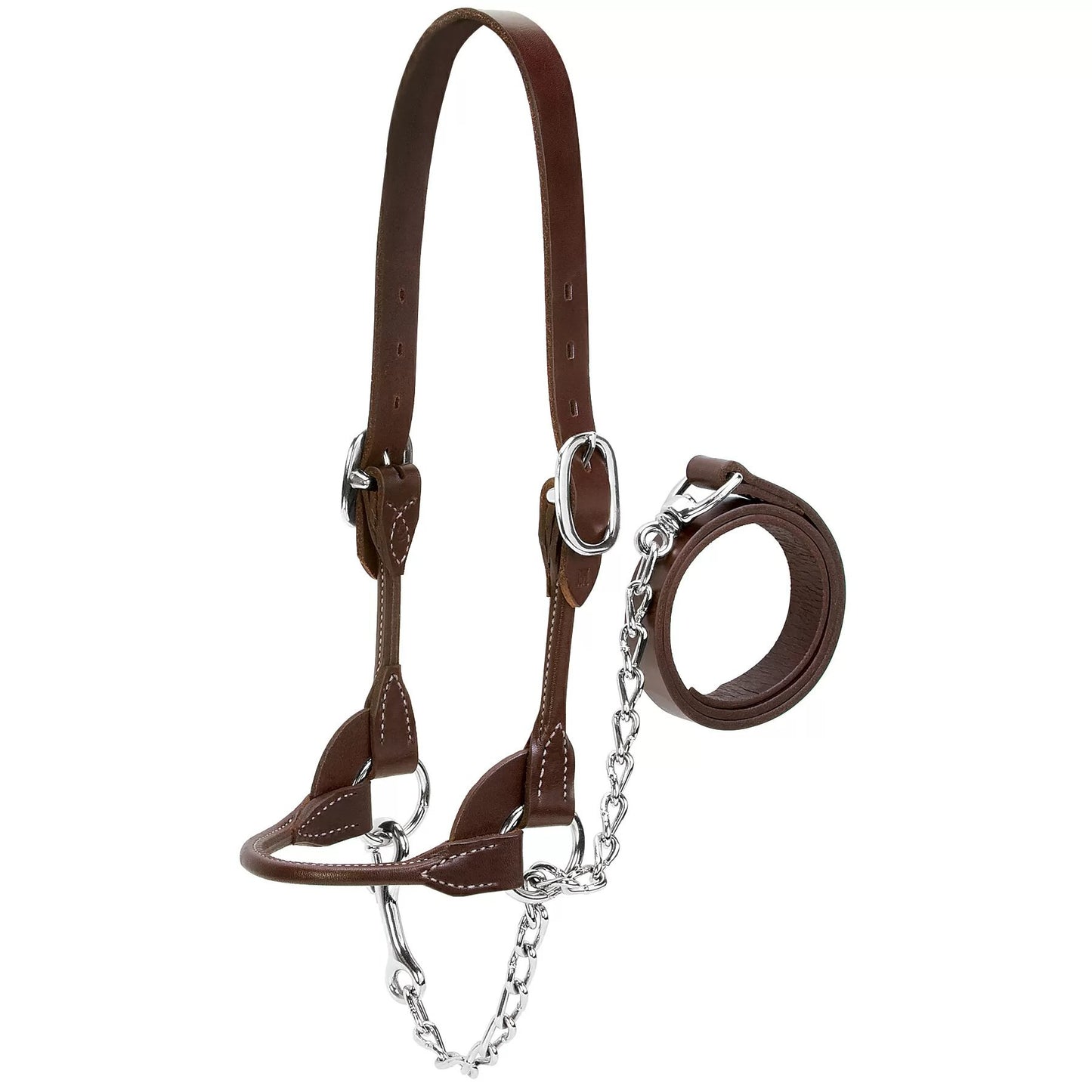 Weaver Leather® Dairy/Beef Rounded Show Halter - Brown