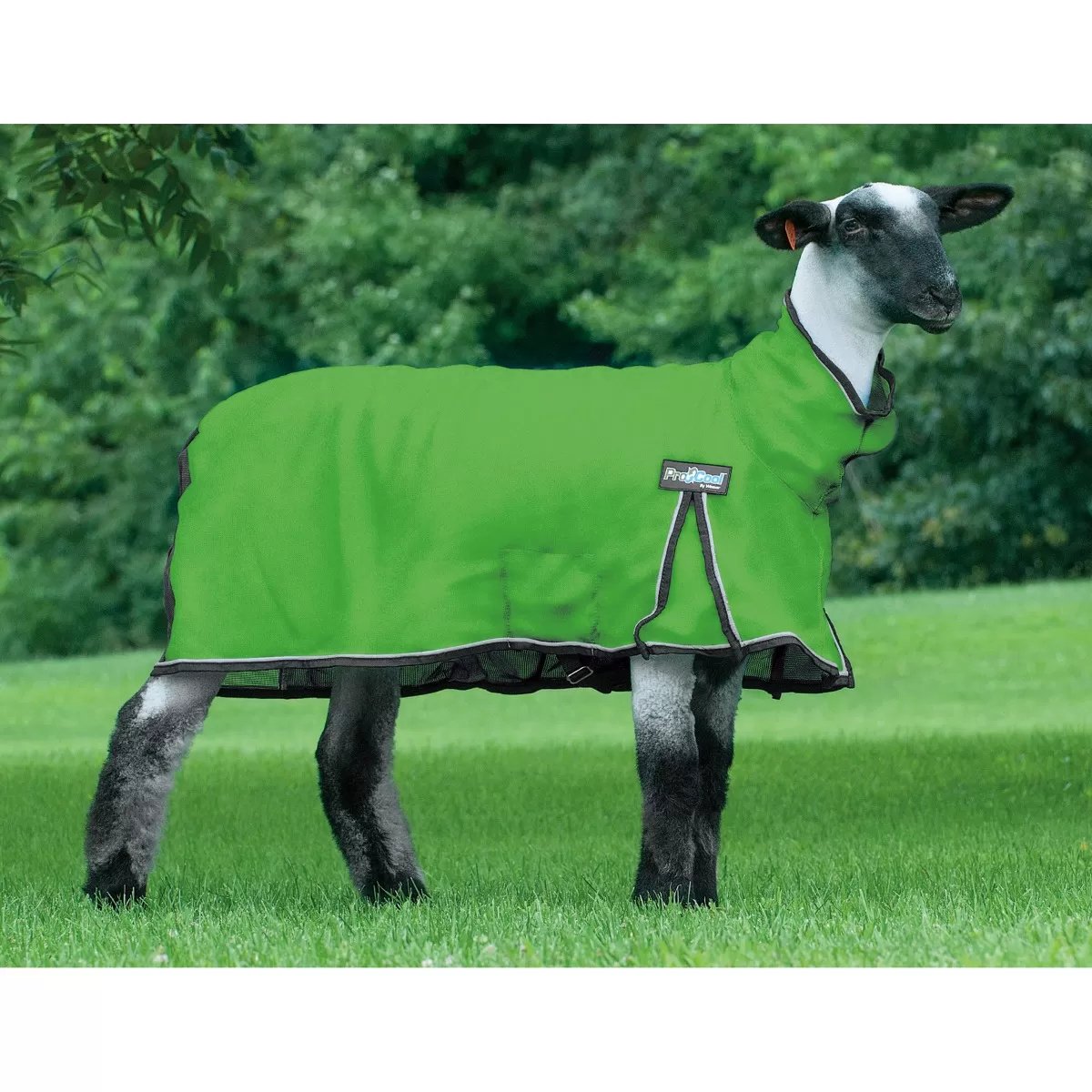 Weaver Leather® ProCool™ Mesh Sheep Blanket