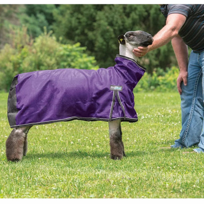 Weaver Leather® ProCool™ Mesh Sheep Blanket