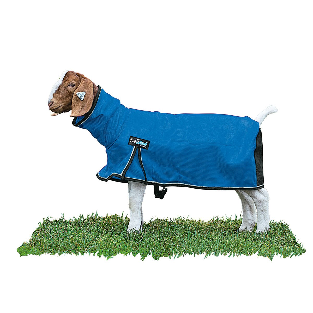 Weaver Leather® ProCool™ Goat Blanket