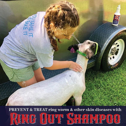 Ring Out Shampoo & Soap - Quart