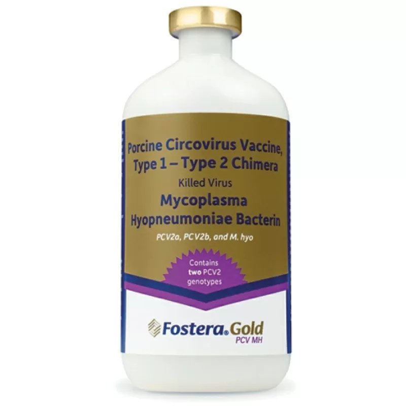 Fostera® Gold PCV MH - Zoetis