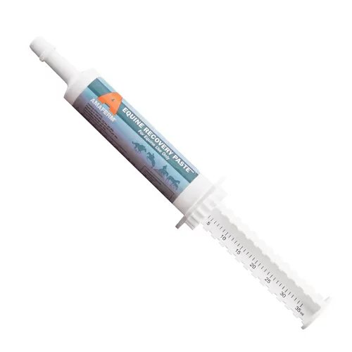 Vitalize® Equine Recovery Paste - 35 mL Tube