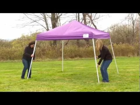 ShelterLogic® HD Series Slant Leg Pop-Up Canopy - 8' x 8'