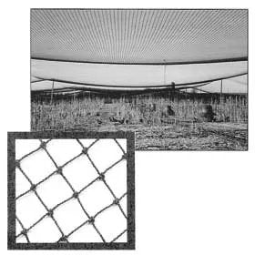 Pheasant Netting - 2" Mesh - 50' x 50' Roll