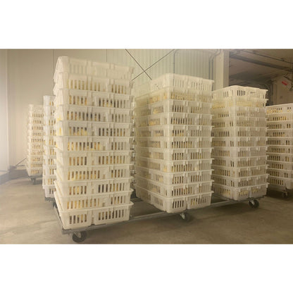 DuraPlas® Dura-Box® Chick Boxes - Paperless